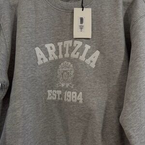 Aritzia Gray Sweatshirt